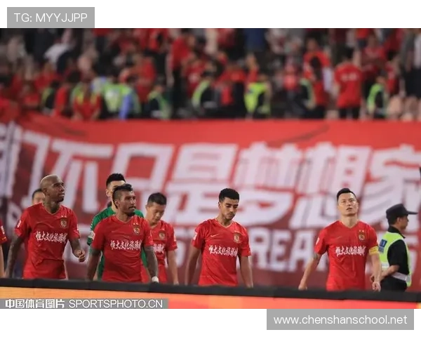 体育职业联赛工资排名（体育职业赛事）sports